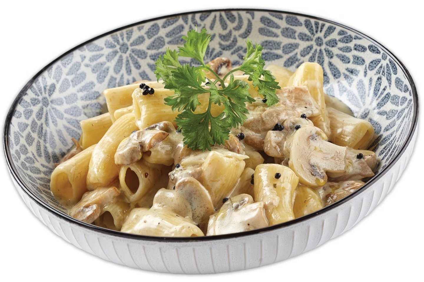 Truffle Porcini